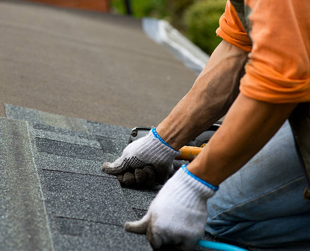 Roof Gutter Cleaning in Oneida, NY